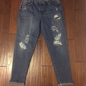 Lane Bryant Jean